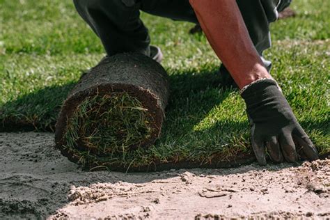 How To Lay Sod In Florida With Easy Steps Tested