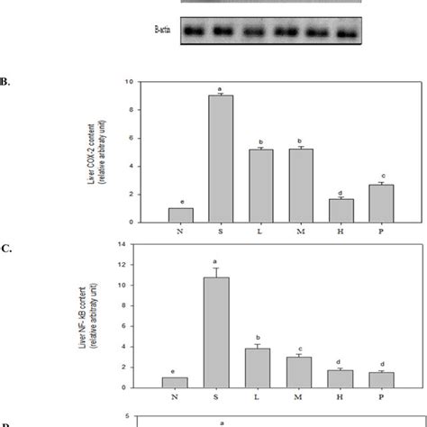 Cox 2 Nf κb And Inos Inflammatory Protein Expression In Six Groups Of