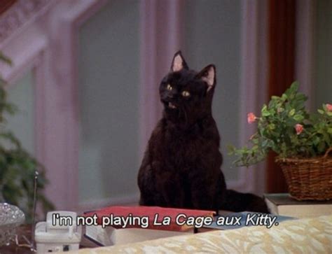 The 40 Greatest Things Ever Said By Salem The Cat Cats Salem Cat