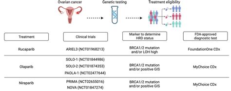 Jpm Free Full Text Homologous Recombination Deficiency In Ovarian