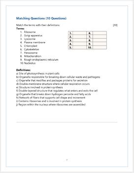 IB DP Biology: Theme A2.2 Cell Structure Quiz Revision & Worksheets 