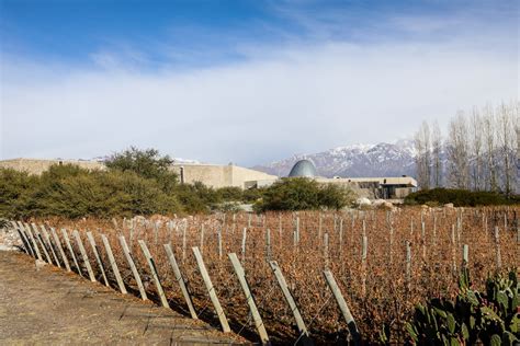 Vin Colas Em Mendoza Que Voc N O Pode Perder