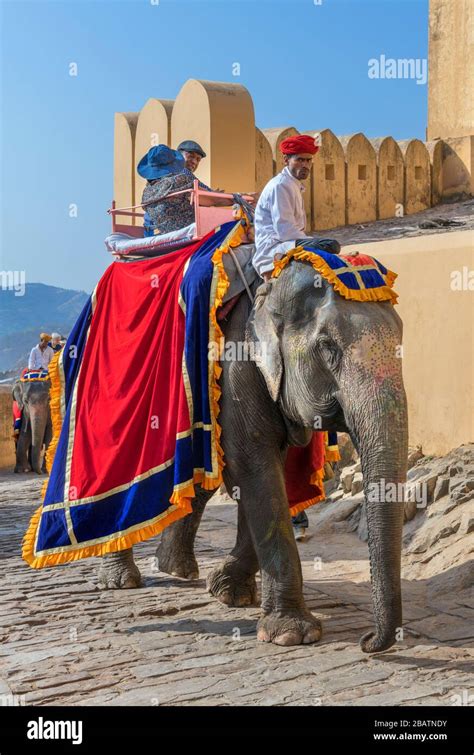 Elephant ride on the path up to the Amber Fort (Amer Fort), Jaipur, Rajasthan, India Stock Photo ...