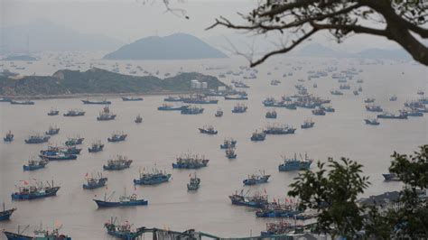 FOTO Musim Tangkap Ikan Di Laut China Timur Foto Liputan6