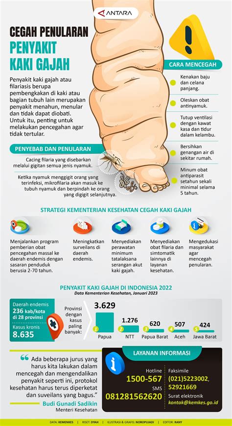 Cegah Penularan Penyakit Kaki Gajah Infografik Antara News