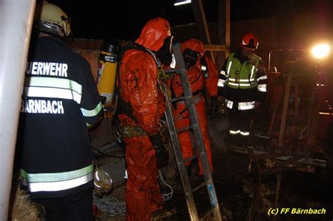 Kuh Aus G Llegrube Gerettet Freiwillige Stadtfeuerwehr B Rnbach