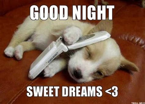 Good Night Memes For When You Want Funny Goodnight Wishes