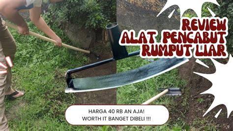 Review Alat Pencabut Pembersih Rumput Pemotong Gulma Rumput Liar