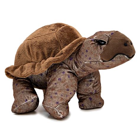 Tortoise Soft Toy – Perth Zoo Shop