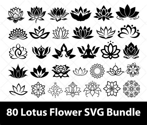 Lotus Flower Svg Lotus Svg Lotus Flower Silhouette Lotus Flower