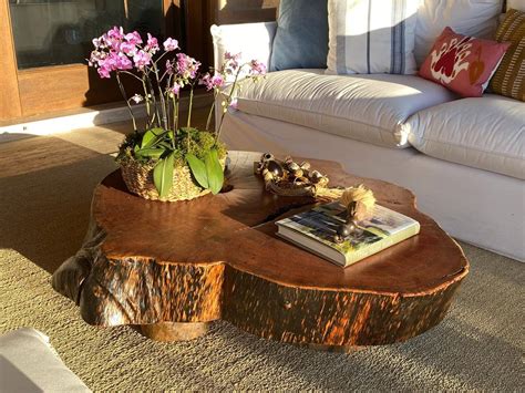 Mesa De Centro Em Tora De Madeira Arquitetos Vendem