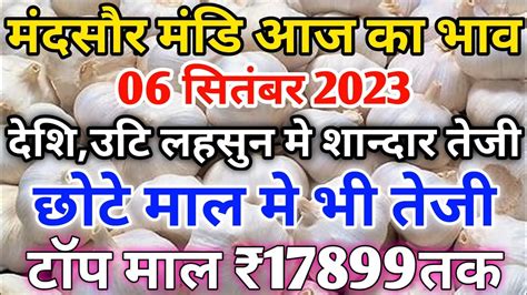 मंदसौर मंडी लहसुन का भाव आज का 06 सितंबर 2023 Mandsaur Mandi Lahsun Ka