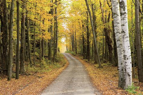 Vermont Country Road Photograph by Alan Majchrowicz - Fine Art America