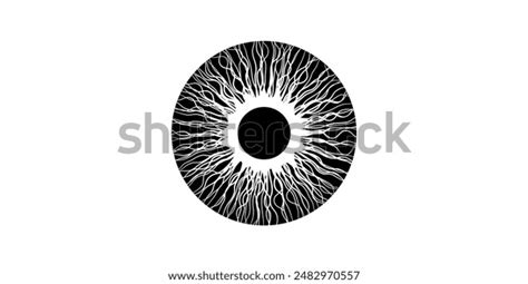 Iris Anatomical Poster Human Eye Structure Stock Vector (Royalty Free) 2482970557 | Shutterstock