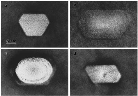 Plan View TEM Micrograph Showing Different Types Of Nanotubes Formed In