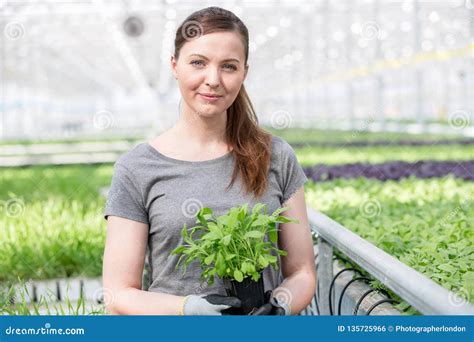 Portrait Of Beautiful Female Botanist Holding Seedling In Plant Nursery