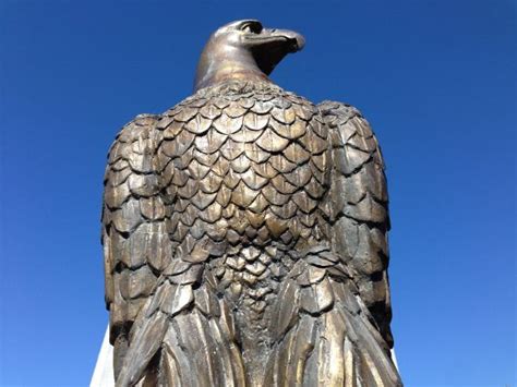 Free Images Wing Leaf Monument Statue Shine Eagle Bird Of Prey