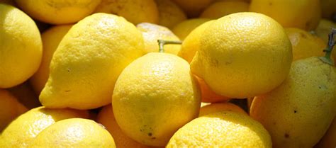 Update Harga Jeruk Lemon Lokal Dan Impor Per Kg Daftar Harga And Tarif 2023