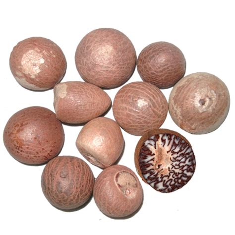 White Areca Betel Nuts Pack Size Kg At Rs Kilogram In New