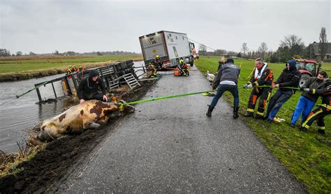 Eerste Storm Van 2023 Eist Leven In Amsterdam Nederlands Dagblad De