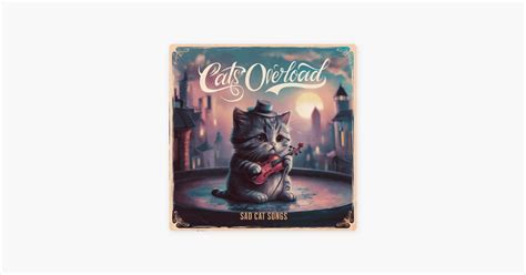 ‎meow Meow Meow Sad Cat Song Song By Cats Overload Apple Music