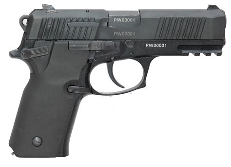 PR-15 RAGUN pistol (Poland) | Pakistan Defence