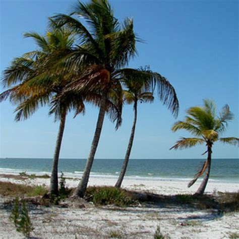 Information on Beaches Near Fort Myers | USA Today