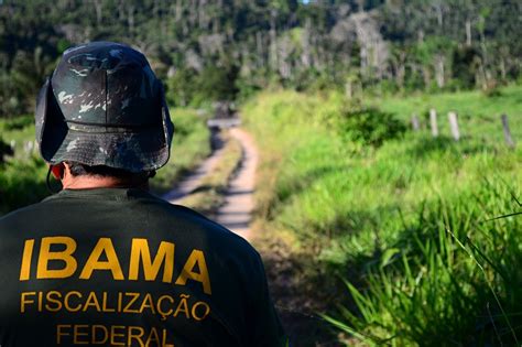 Ibama abre inscrições para concurso 460 vagas e salário de até R 9