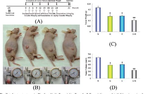 Emodin Potentiates The Antitumor Effects Of Gemcitabine In Panc