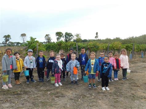 Ecole Antoine de St Exupéry Au coeur du village Les vendanges des