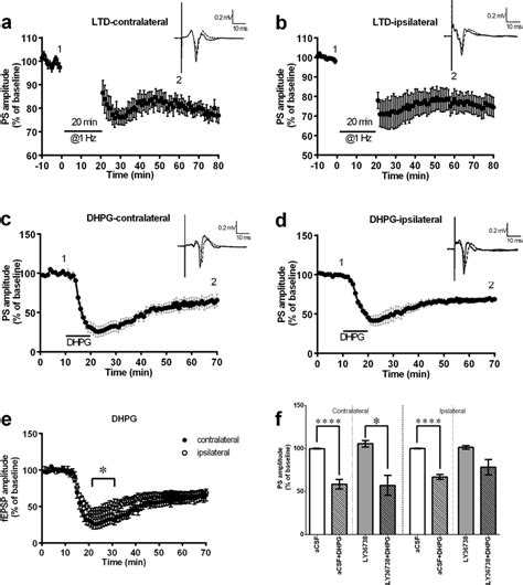 Low Frequency Stimulation And Dhpg Evoked Long Term Depression Ltd In