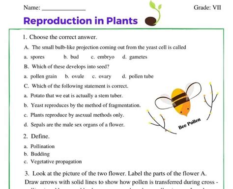 Reproduction In Plants Class 7 Worksheet Plants Worksheets Worksheets Learn English