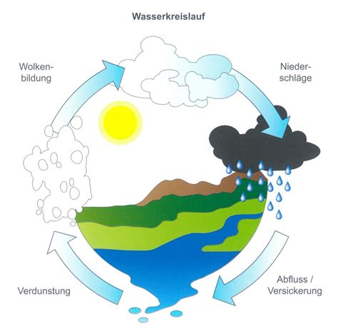 Zwhs Wasserhaushalt