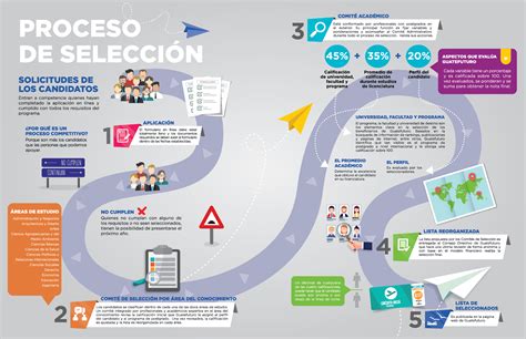 Fases Del Proceso De Seleccion