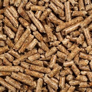 What Are the Best Horse Bedding Pellets? | Energy Pellets of America