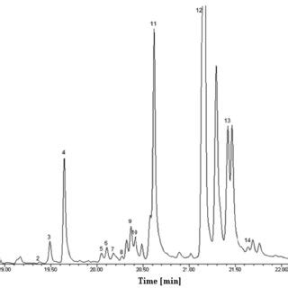 Representative Chromatogram Of Extract For R Bagnoldii 1 A1 2 A2