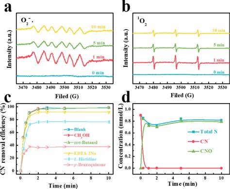 Electron Paramagnetic Resonance Epr Spectra Of A O 2 − • B 1 O Download Scientific