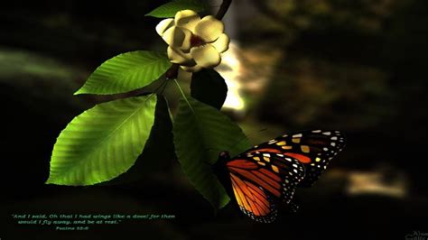 3D Butterfly Wallpapers - Wallpaper Cave