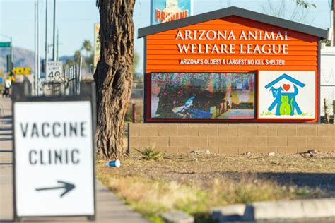 Overcrowded Arizona Animal Welfare League waives adoption fees