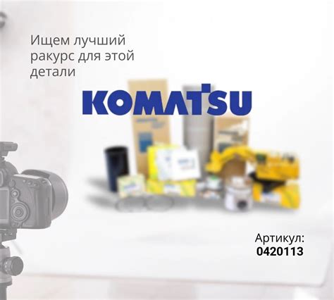 Купить 0420113 ПЫЛЬНИК по цене от и другие запчасти на спецтехнику с ...
