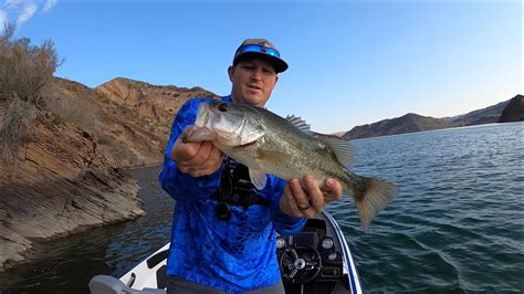 Bass Fishing Pyramid Lake Ca Youtube