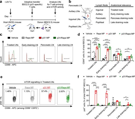 P31rapa Mps Promote Antigen Specific T Cell Priming While Inhibiting