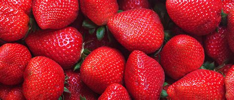 Афродизиак - Храните, които повишават либидото | Всички теми