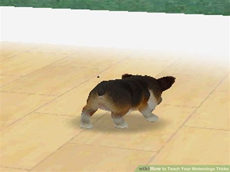 How to Teach Your Nintendogs Tricks (with Pictures) - wikiHow