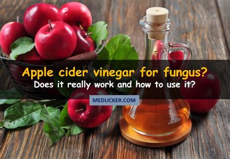 Is Apple Cider Vinegar A Real Remedy For Fungus