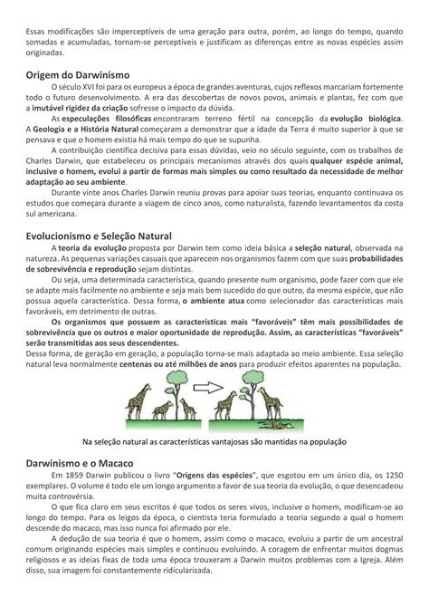 Resumo Teorias Evolutivas Lamarck Darwin E Neodarwinismo Pdf