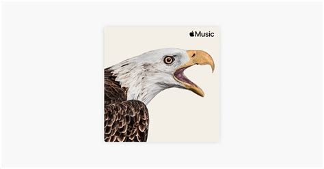 ‎美国乡村乐 歌单 Apple Music