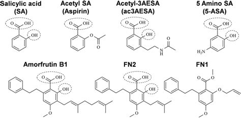 Chemical Structures Of Salicylic Acid And Its Synthetic And Natural