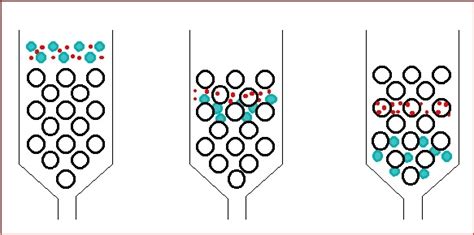 Bio-Resource: Gel Filtration Chromatography (GF) / Size Exclusion ...