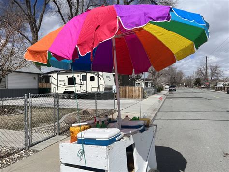 Reno City Council Approves First Reading Of New Sidewalk Vendor